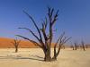 Dead Vlei, Sossuvlei National Park Namibia, Africa