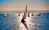 sailing contest [HD]