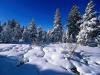 winter-scenery